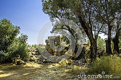 Sedir island Stock Photo