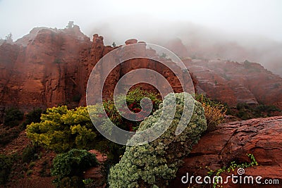 Sedona Red Sandstone Formations Stock Photo