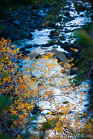 Sedona creek in autumn Stock Photo