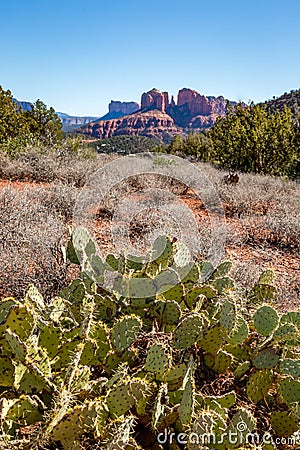 Sedona and Oak Creek Canyon Landscapes Stock Photo