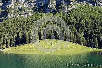 Seealpsee in Ebenalp valley in beautiful sommer time Stock Photo