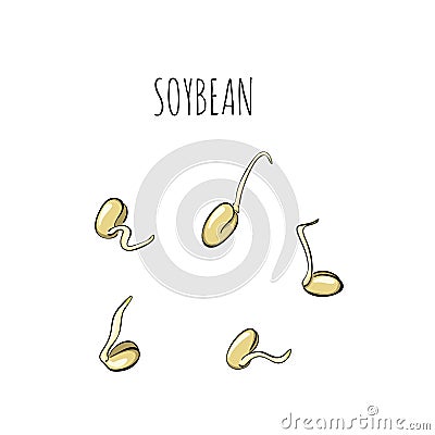 Seed cultivation set - illustration. Microgreens in sketch and freehand style. Soybean sprouts, Healthy and wholesome vegan Cartoon Illustration