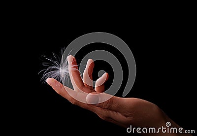 Seed of dandelion type is falling onto woman's finger Stock Photo