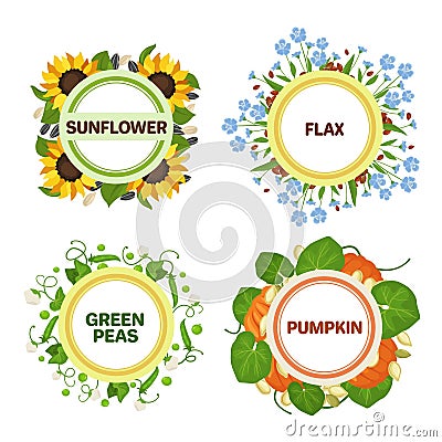 Seed emblems. Round labels with decorative wreaths for agricultural products. Sunflower, flax, green peas and pumpkin Vector Illustration