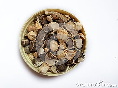 Seed Horse radish tree or Drumstick or Moringa (Moringa oleifera) dried seeds Stock Photo