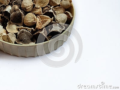 Seed Horse radish tree or Drumstick or Moringa (Moringa oleifera) dried seeds Stock Photo