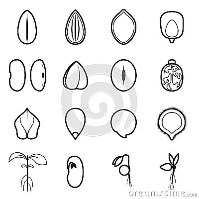 Seed icon set, which represents the most common types of crop seeds Vector Illustration
