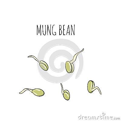 Seed mung bean cultivation set - illustration. Microgreens in sketch and freehand style. Sprouts, Healthy and wholesome Cartoon Illustration