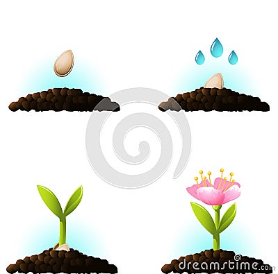 Seed sprout. Vector icons Vector Illustration