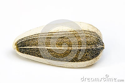 Seed Stock Photo