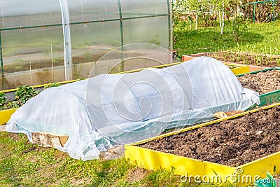 Seedbed on the Household plot. Stock Photo