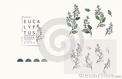 Seeded eucalyptus logo and branch. Hand drawn wedding herb, plant and monogram with elegant leaves for invitation save Vector Illustration