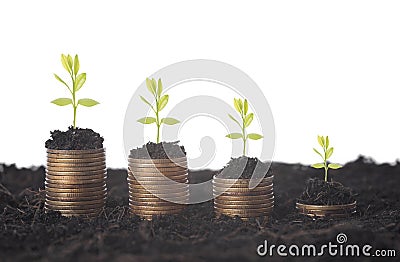 Seeding Plant seed growing on pile of coins money. Stock Photo