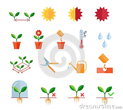 Seeding and planting instructions steps, pruning Vector Illustration