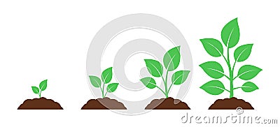 Seedling icon. Plant growth. Sprout from the ground Stock Photo