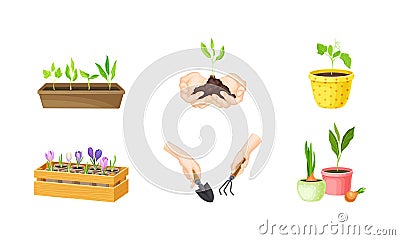 Seedling or Young Plants Growing in Plastic Pots with Hand Holding Rake for Soil Cultivation Vector Set Vector Illustration