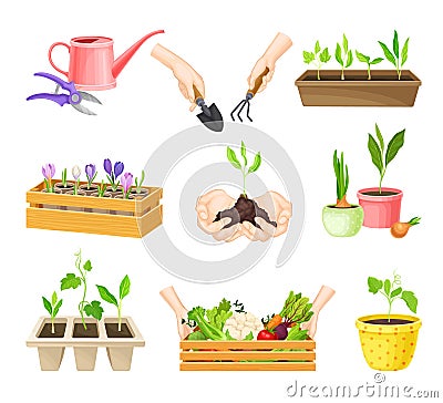 Seedling or Young Plants Growing in Plastic Pots Vector Set Vector Illustration