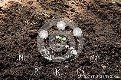 Seedlings grow from fertile soil with Icon digital attached along with other nutrients that are essential for plant growth. Stock Photo