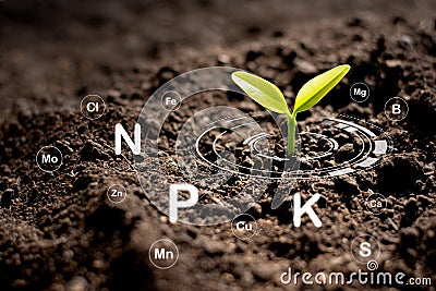 The seedlings are growing from the rich soil and have an icon attached to the nutrients necessary for plant growth Stock Photo