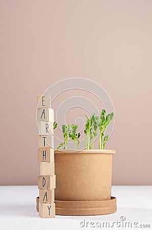 Seedlings peas in pot on white wood table, beige wall, wood cubes with lettering `Earth day`, vertical. Stock Photo