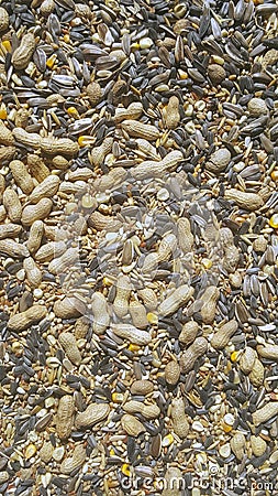 Seedmix for for larg exotic pet birds and parrots Stock Photo