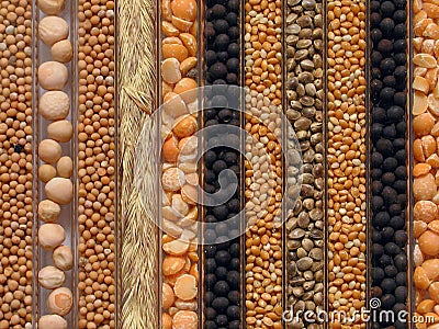 Seeds Stock Photo