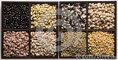 Seeds Stock Photo