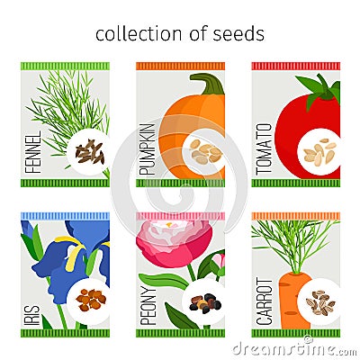 Seeds collection of flowers and vegetables Vector Illustration