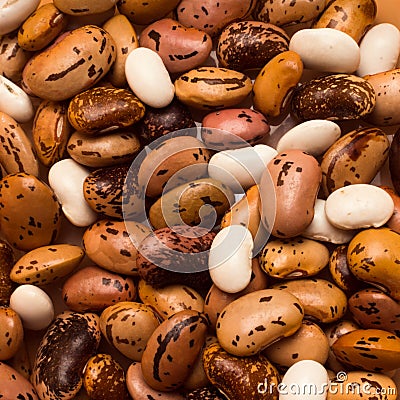 Seeds of different beans Stock Photo