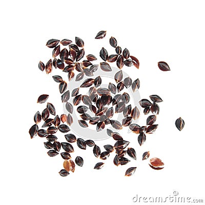 Seeds of garden sorrel or Rumex acetosa isolated on white background Stock Photo