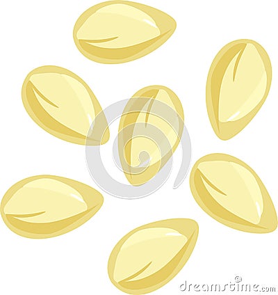 Seeds of lemon Stock Photo