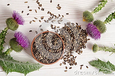 Seeds of a milk thistle with flower Stock Photo