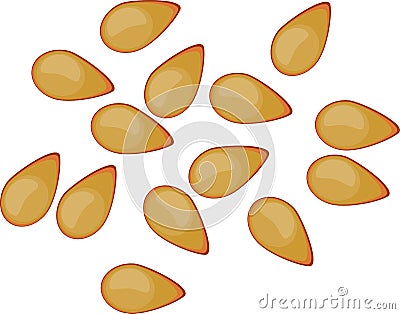 Seeds of tomato Stock Photo