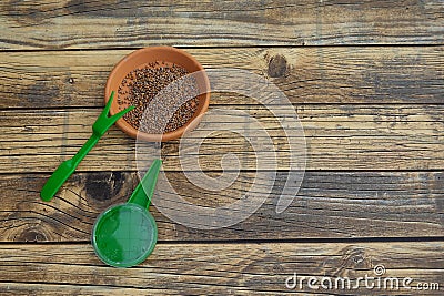 seeds in urban vegetable garden ready to sow together with sowing tools. plate full of vegetable garden seeds Stock Photo