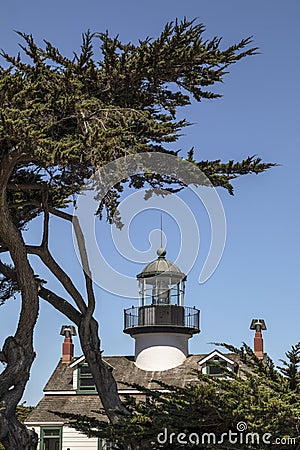 Point Pinos Lighthouse and Monterey Cypress - California Stock Photo