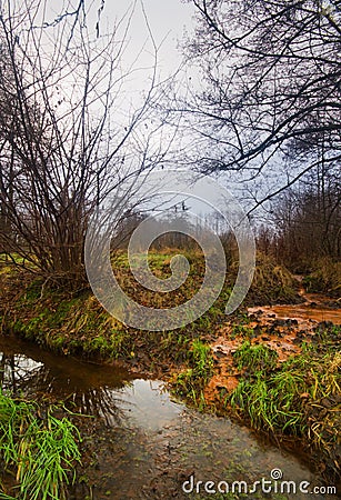 Seepage of iron rich groundwater Stock Photo