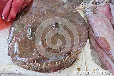 Seeteufel, monkfish, anglerfish Stock Photo