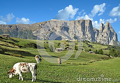 Seiser Alm,Schlern Mountain,South Tirol,Italy Stock Photo