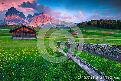 Seiser Alm vacation resort with yellow spring flowers, Italy, Europe Stock Photo