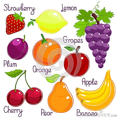 Selection of colorful tropical fruit with labels Vector Illustration