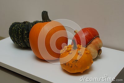 Autumn harvest of colourful pumpkin and squash variety. Stock Photo