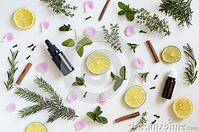 Selection of essential oils and herbs on a white background Stock Photo