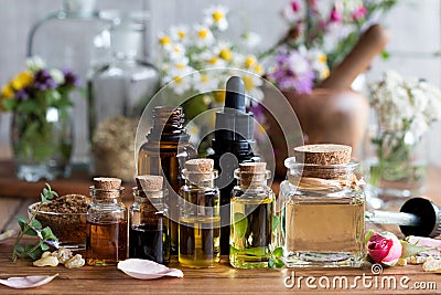 Selection of essential oils with various herbs and flowers Stock Photo