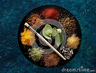 Selection spices Stock Photo