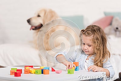 selective focus of adorable kid playing with educational cubes, golden retriever lying on bed Stock Photo