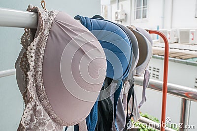 Selective focus of bra hanging on a clothesline Stock Photo