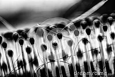 Selective focus on bristles of a hairbrush with tangled hair Stock Photo