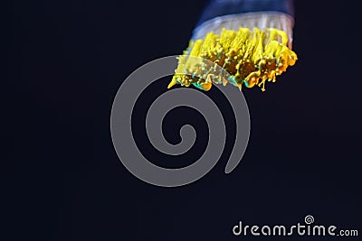 Selective focus closeup of a paintbrush dipped in yellow paint on a black background Stock Photo