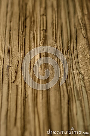 Selective focus closeup shot of parchment sheet textures Stock Photo
