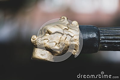 Selective focus closeup shot of a small metallic lion head sculpture Stock Photo